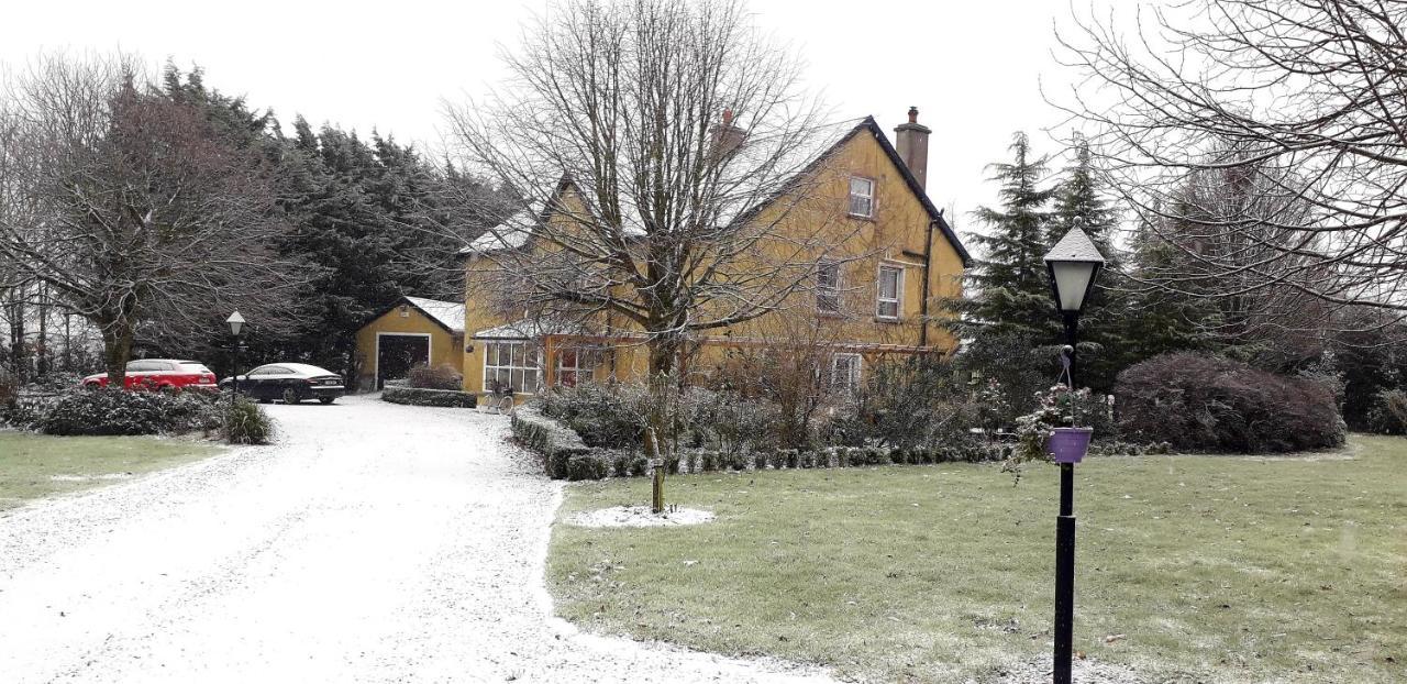 Newlands Lodge Килкенни Экстерьер фото